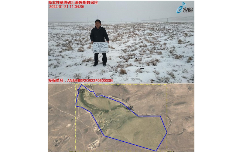 全國首單草原碳匯遙感指數(shù)保險落地鹿城包頭